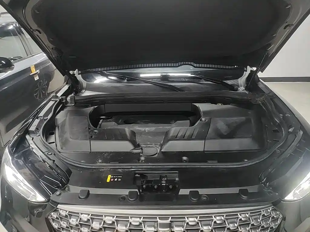 Wey Wey VV6 — миниатюра 20
