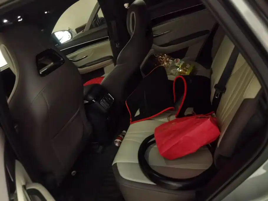 BYD PLUS New Energy — миниатюра 11