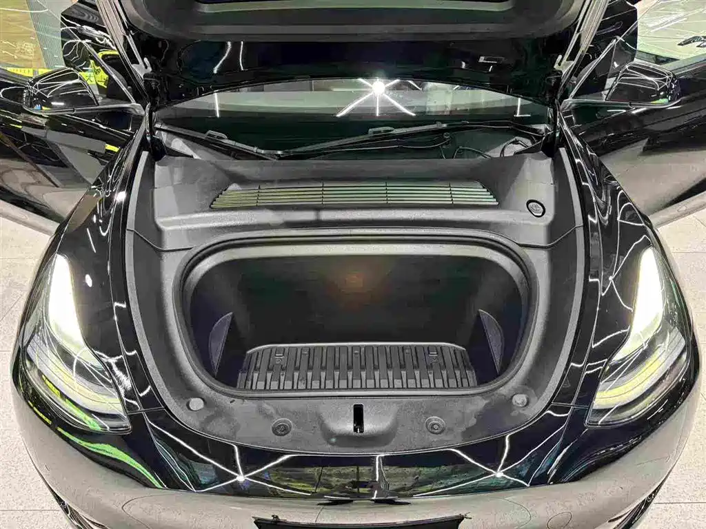 Tesla Model Y — миниатюра 31