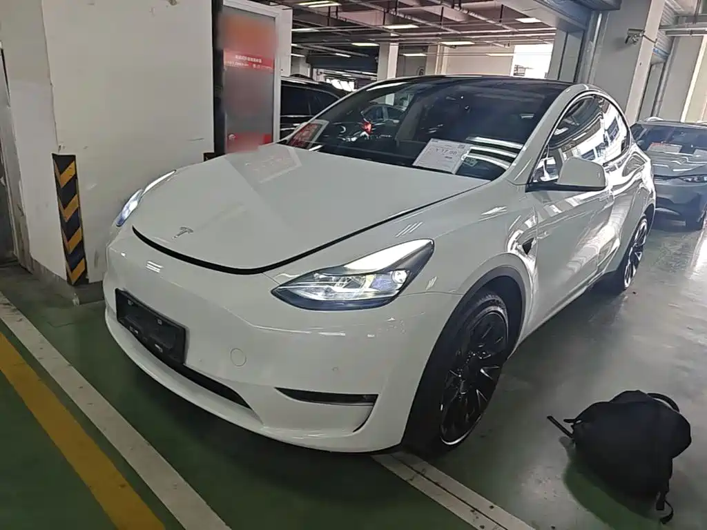 Tesla Model Y — миниатюра 2