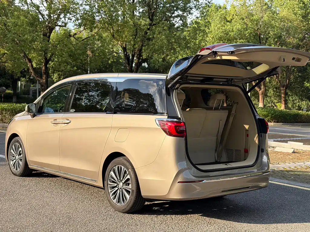 Buick GL8 — миниатюра 14