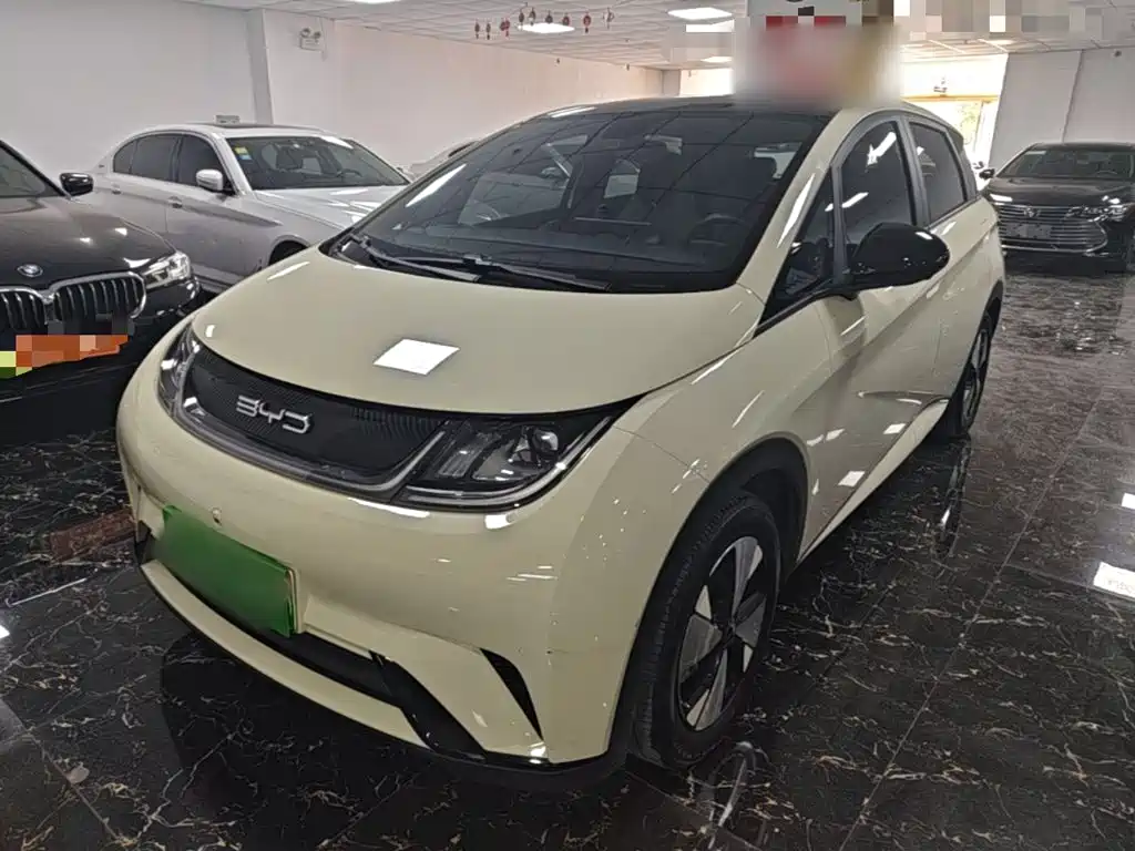 BYD Dolphin — миниатюра 2