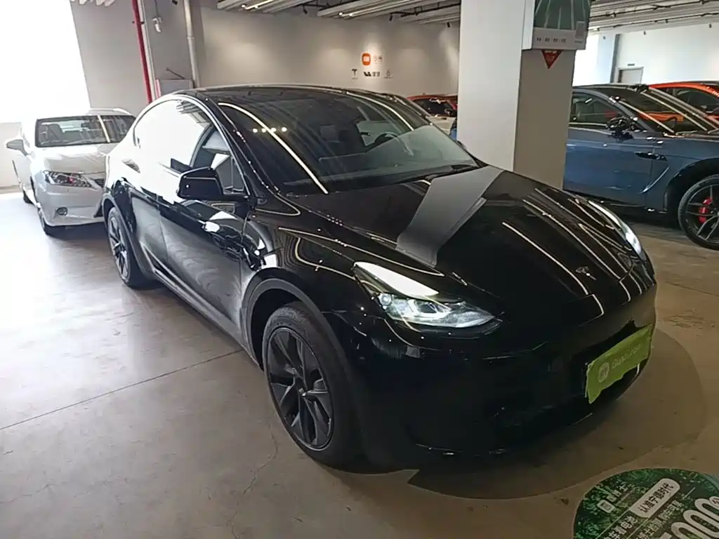 Tesla Model Y — миниатюра 4