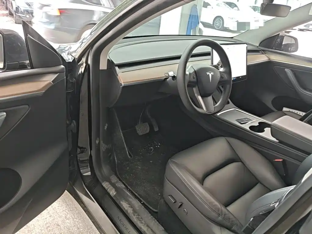Tesla Model Y — миниатюра 21