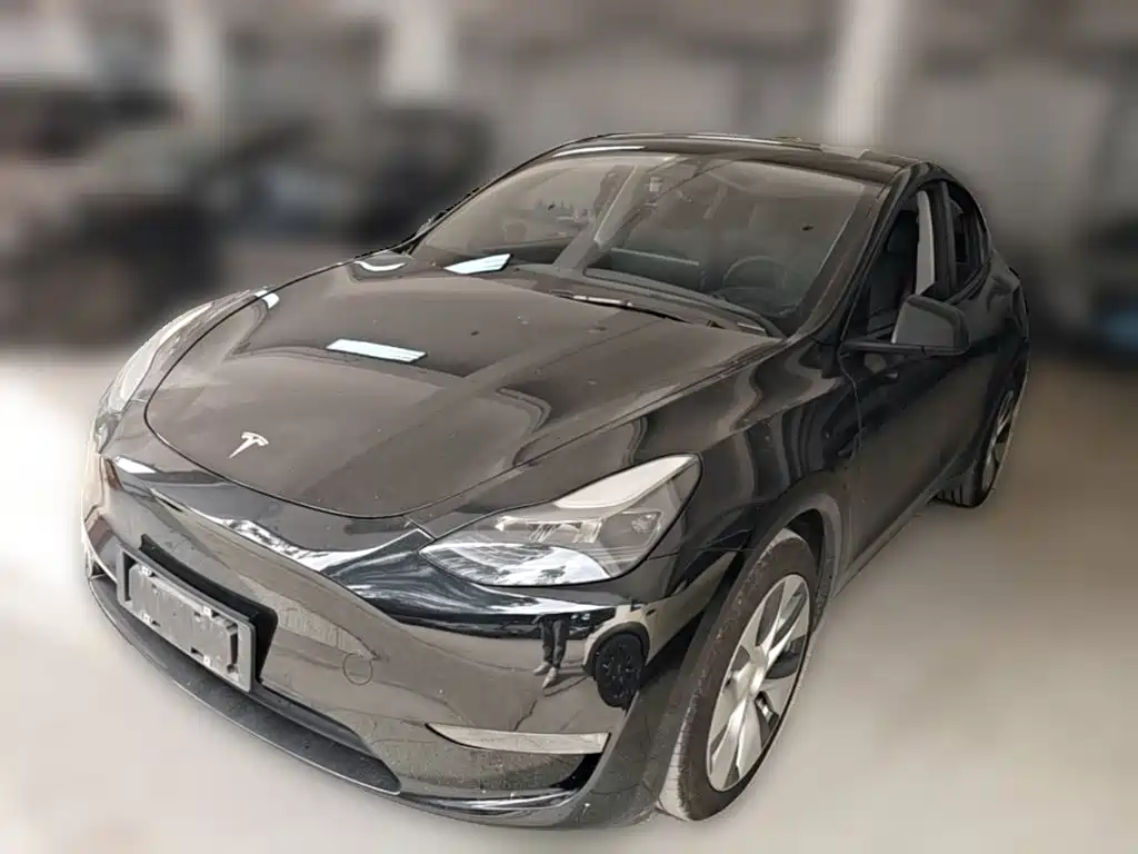 Tesla Model Y — миниатюра 3