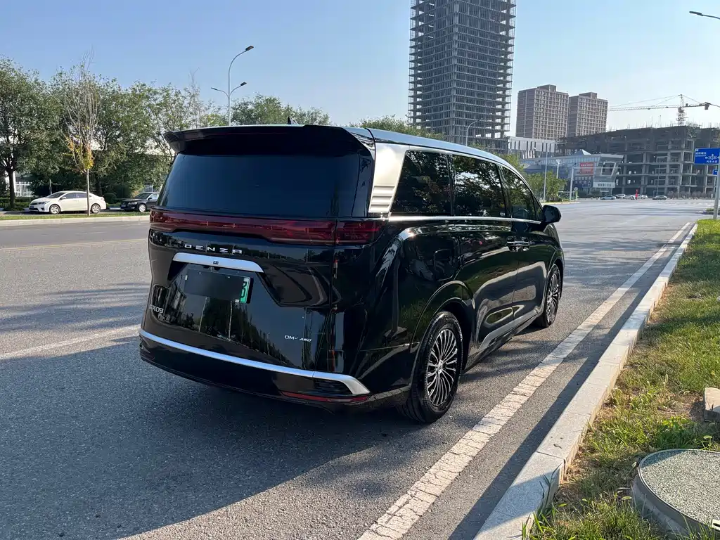 Denza Denza D9 — миниатюра 20