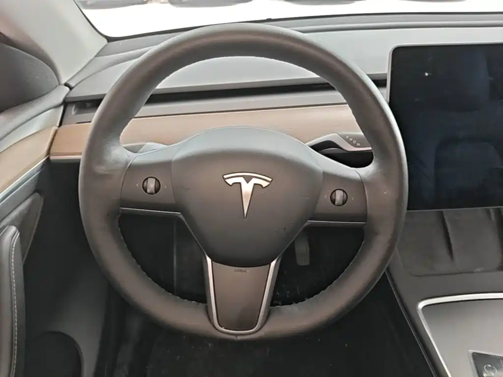 Tesla Model Y — миниатюра 15