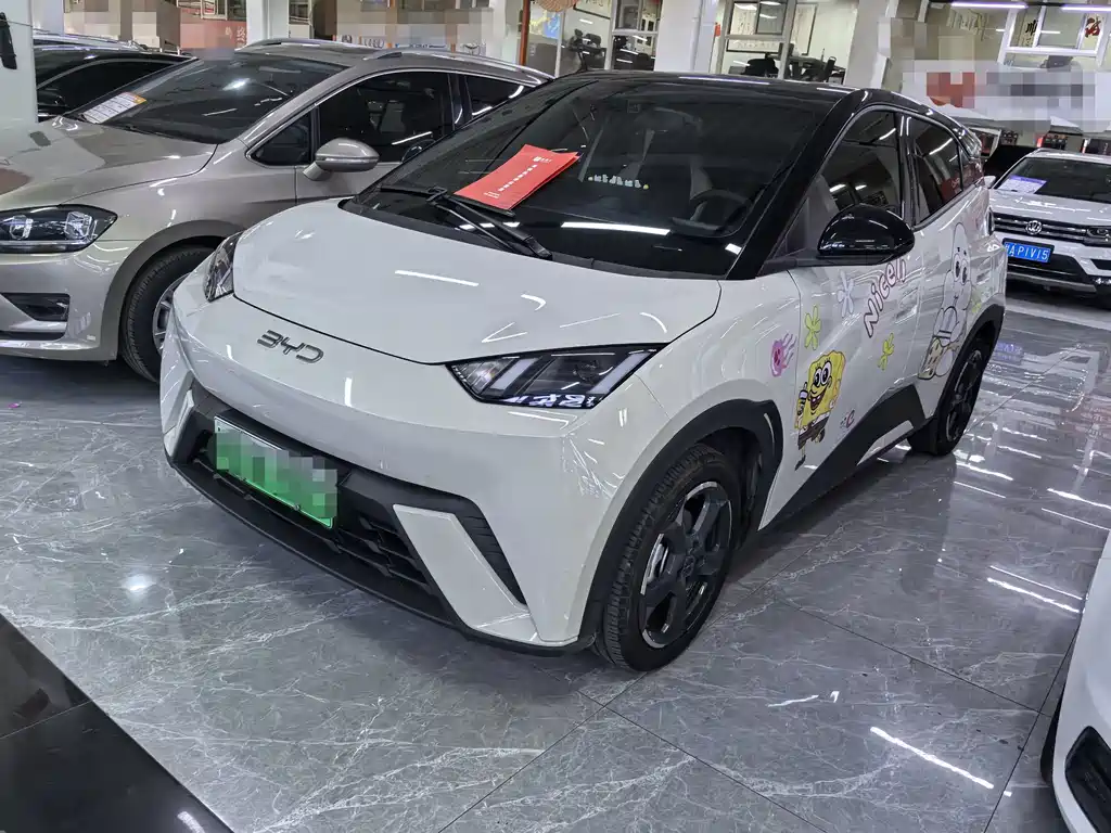 BYD Seagull