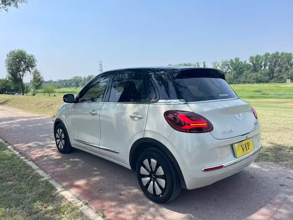 Wuling Binguo 2023 410km Premium