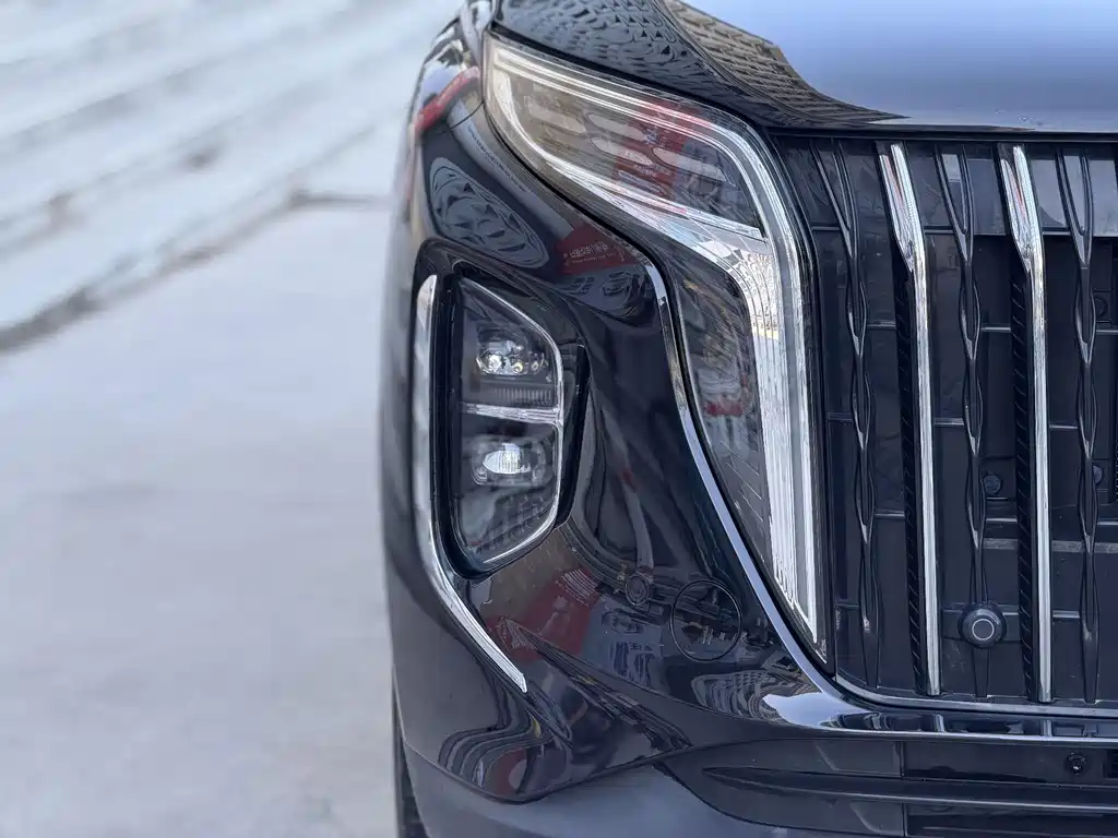 Hongqi Hongqi HS7 PHEV — миниатюра 13