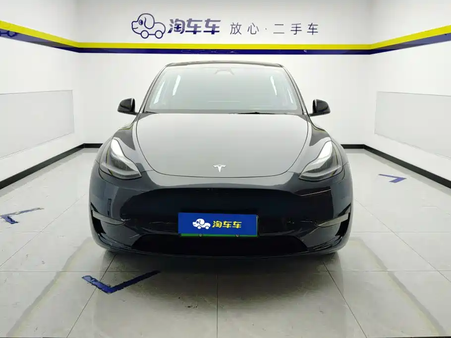 Tesla Model Y — миниатюра 2