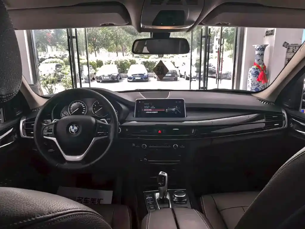 BMW X5 New Energy (Import) — миниатюра 6
