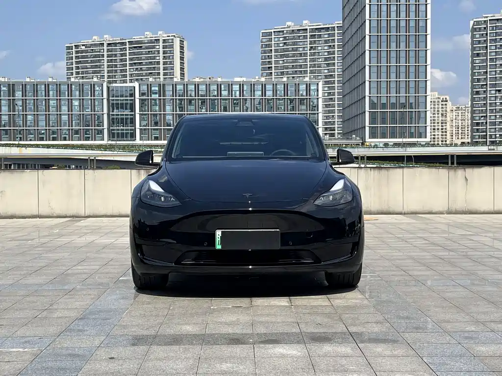 Tesla Model Y — миниатюра 2
