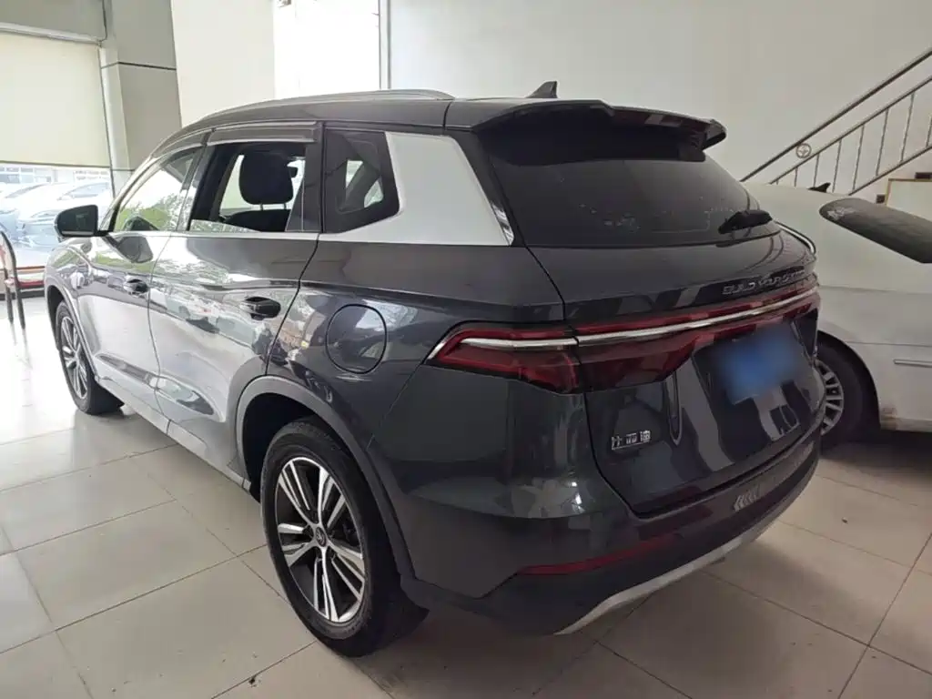 BYD Pro — миниатюра 5