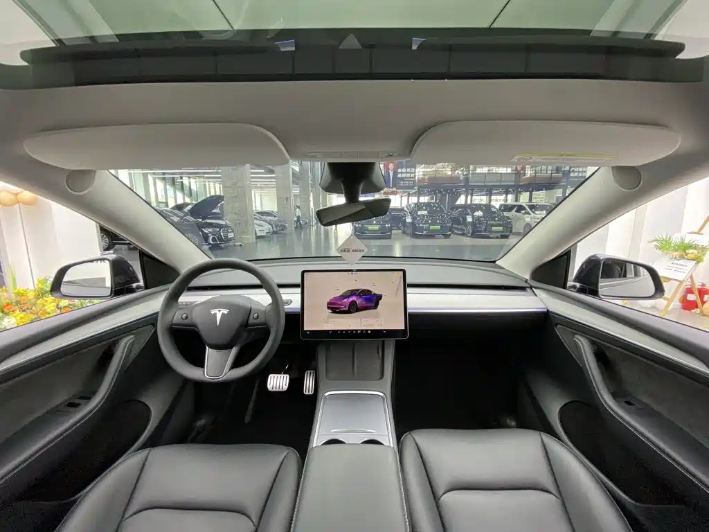 Tesla Model Y — миниатюра 30