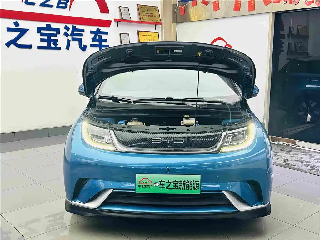 BYD Dolphin — миниатюра 27
