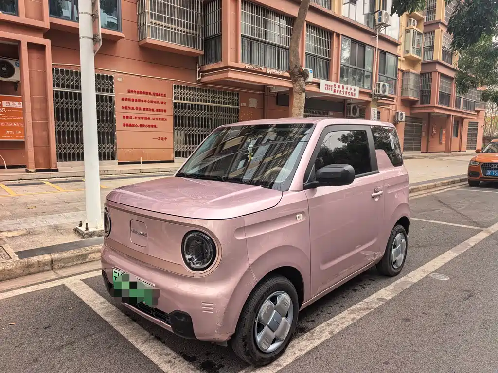Galaxy Panda 2024