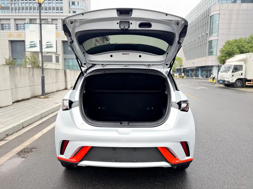 BYD Dolphin — миниатюра 14