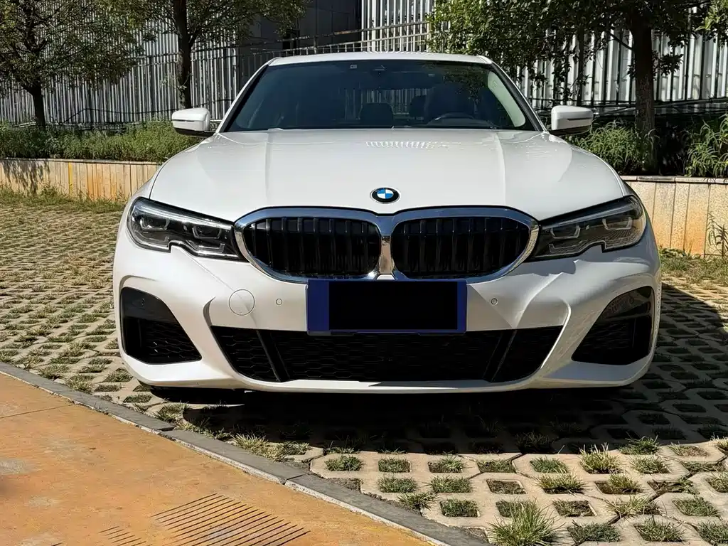 BMW 3 Series — миниатюра 2