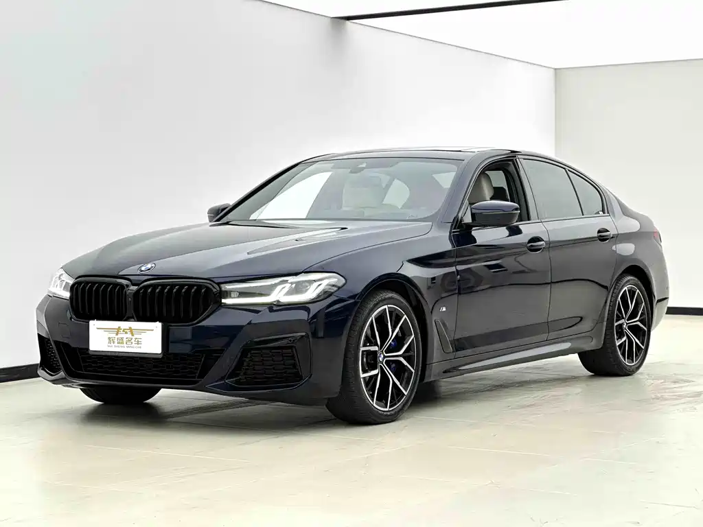 BMW 5 Series (Import) 2021