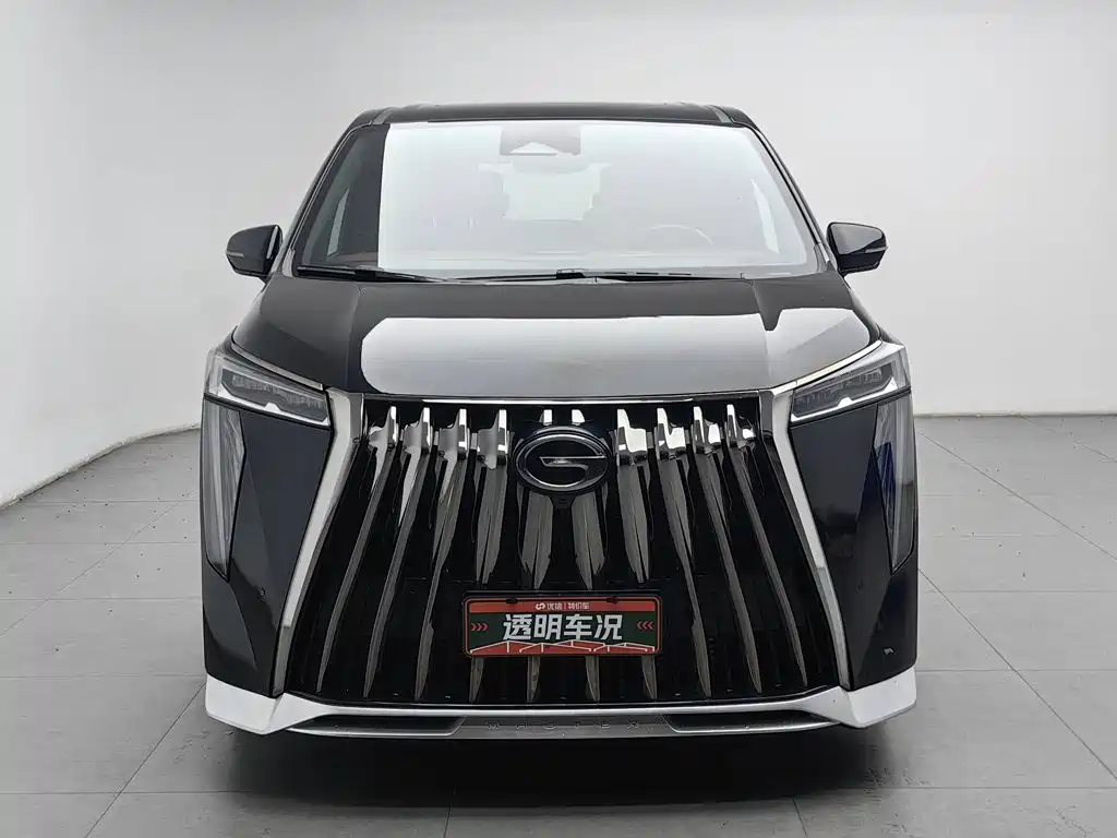 GAC Motor Trumpchi M8 — миниатюра 3