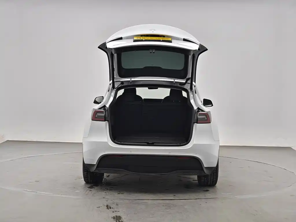Tesla Model Y — миниатюра 7