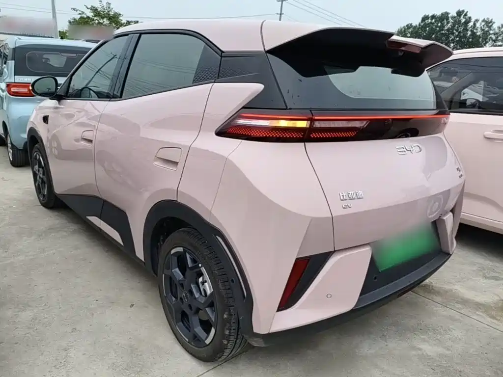 BYD Seagull 2025 Smart Drive 305km Freedom