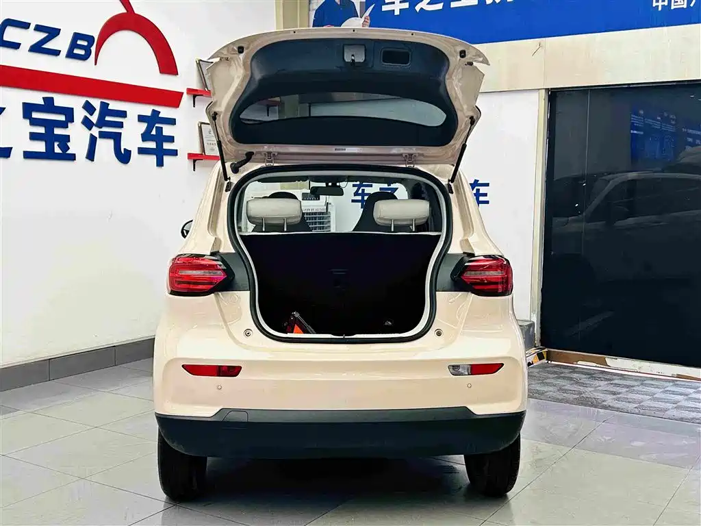 Leapmotor T03 2023 310