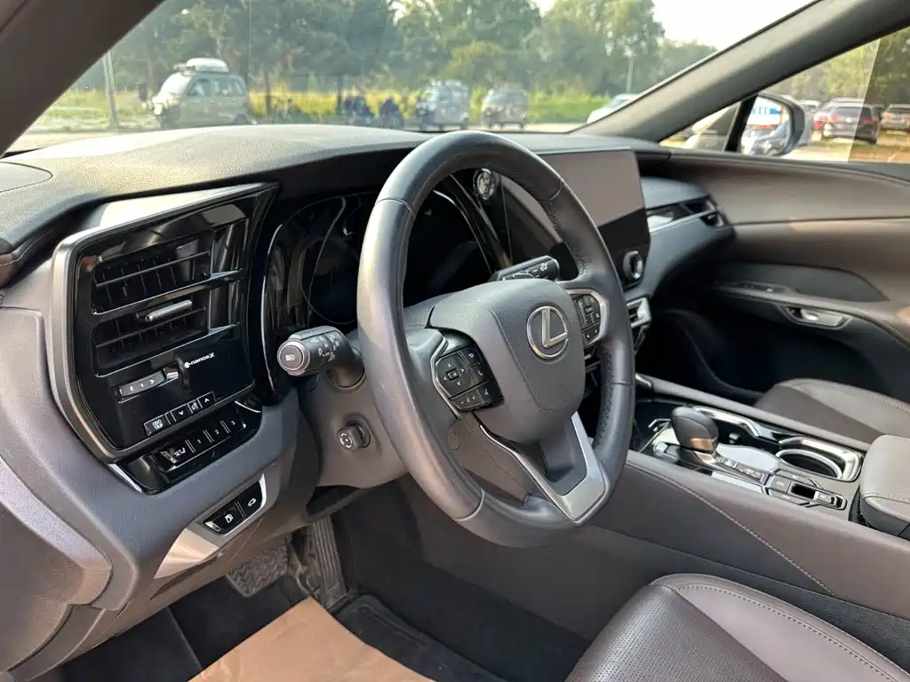 Lexus RX — миниатюра 15