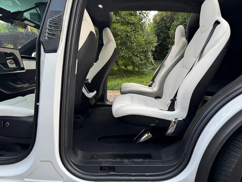 Tesla Model X — миниатюра 11