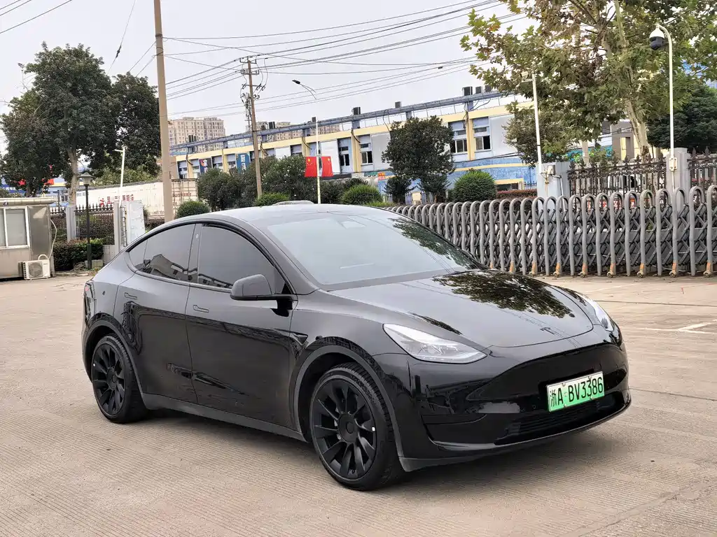 Tesla Model Y — миниатюра 3