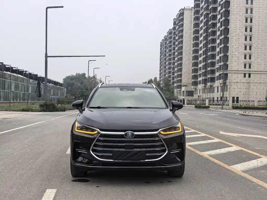 BYD Tang New Energy — миниатюра 2