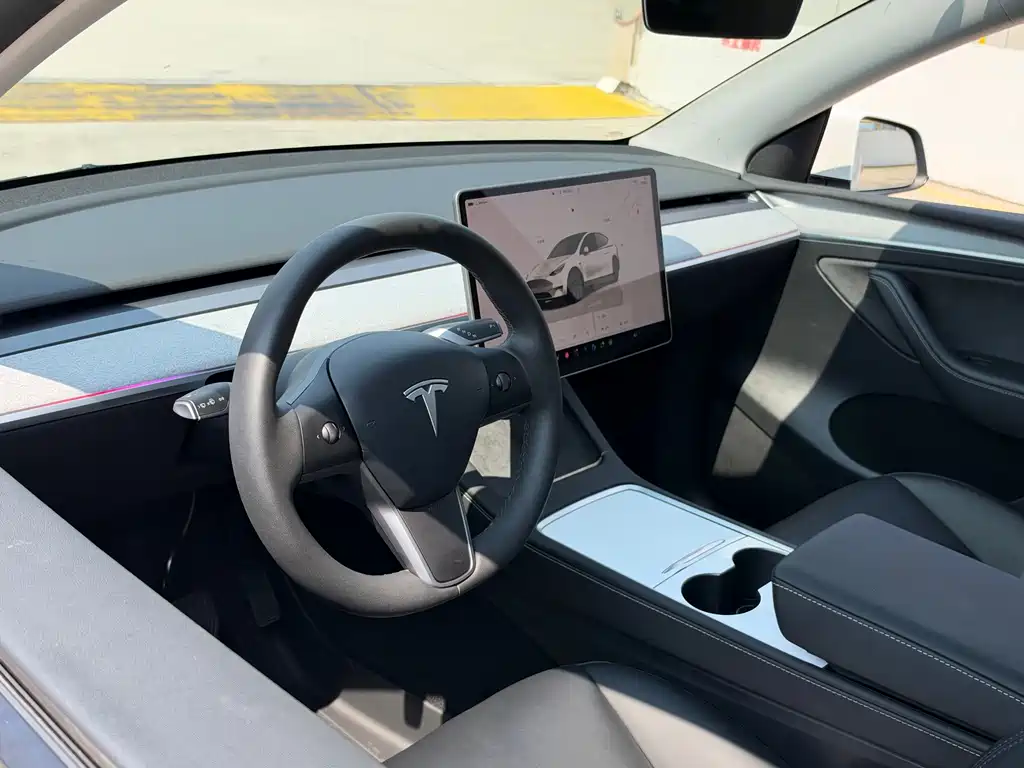 Tesla Model Y — миниатюра 11