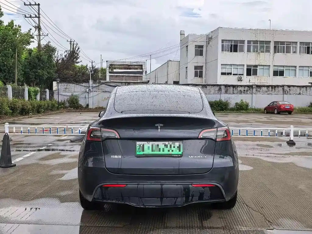 Tesla Model Y — миниатюра 8