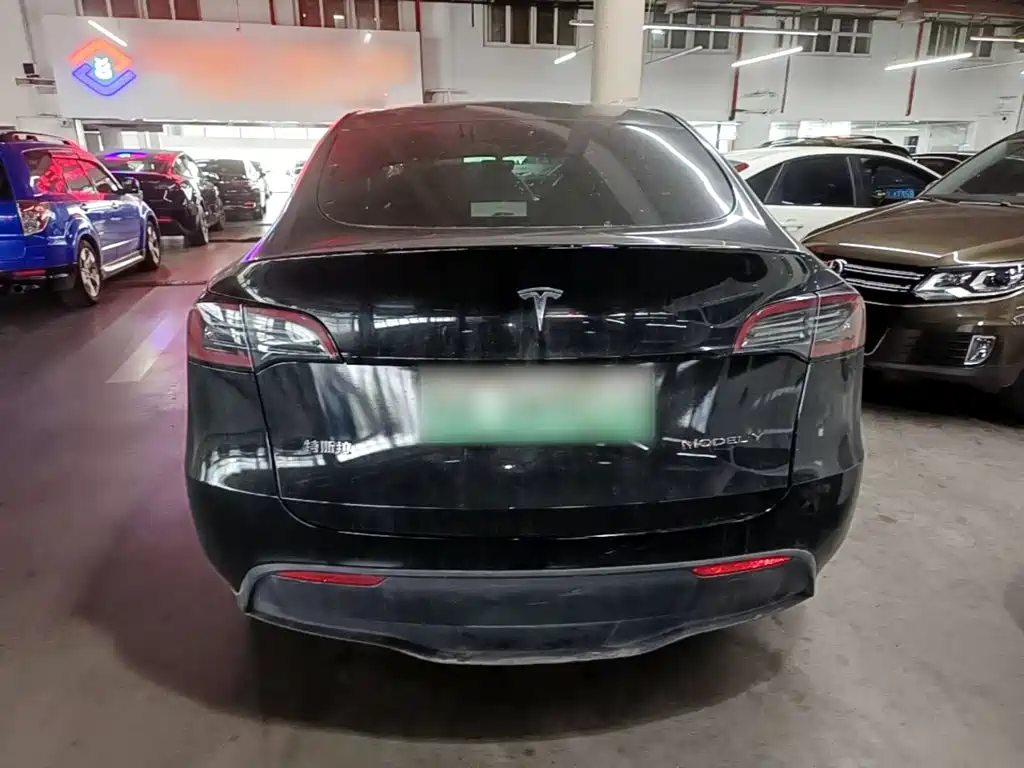 Tesla Model Y — миниатюра 6