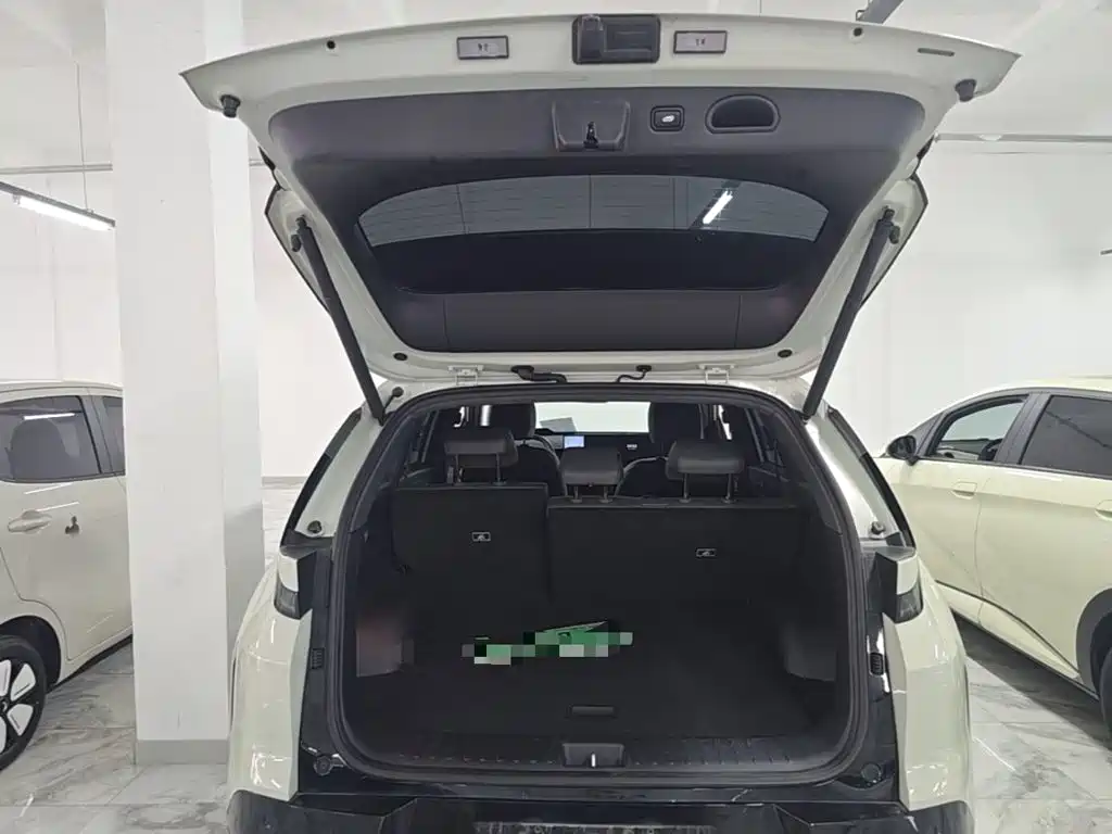 Hyundai EO — миниатюра 19