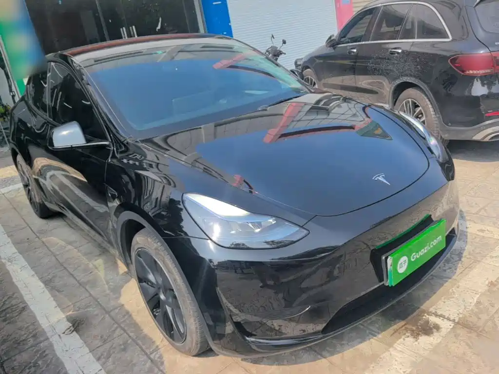 Tesla Model Y — миниатюра 4