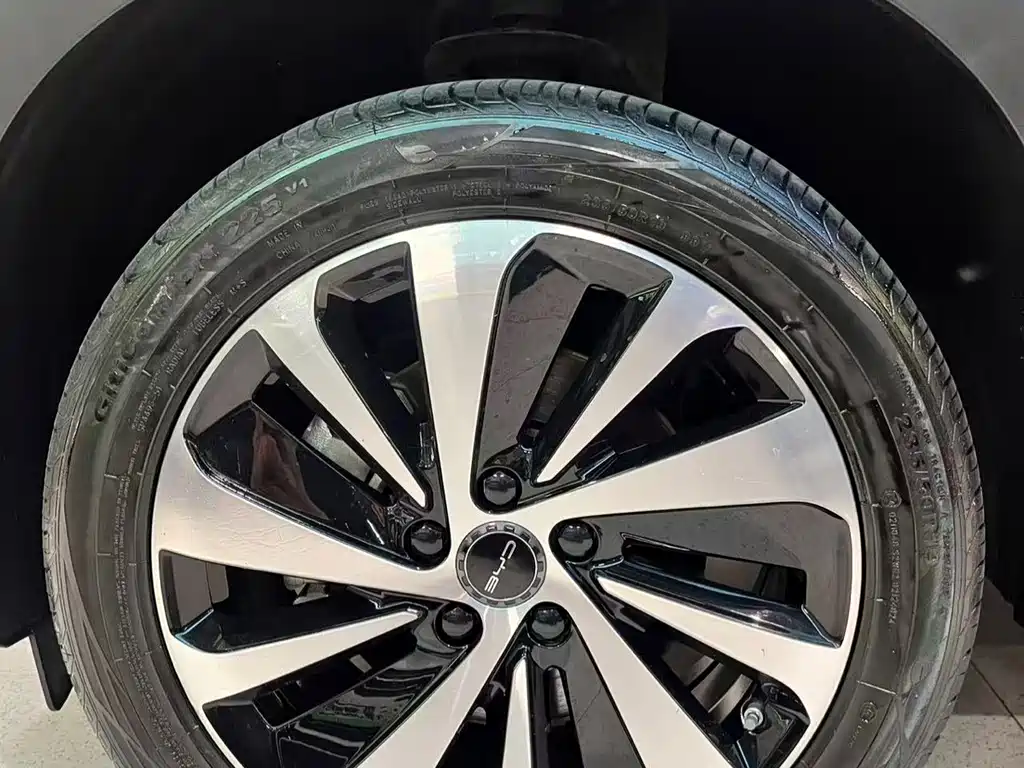 BYD SONGJIANG NEW ENERGY