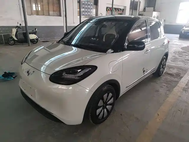 2023 Wuling Motors Binguo