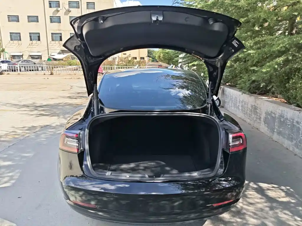 Tesla Model 3 — миниатюра 19