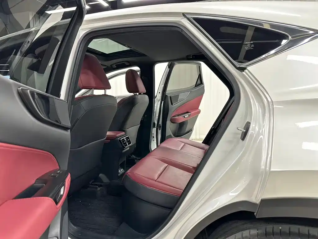 Lexus NX New Energy — миниатюра 9