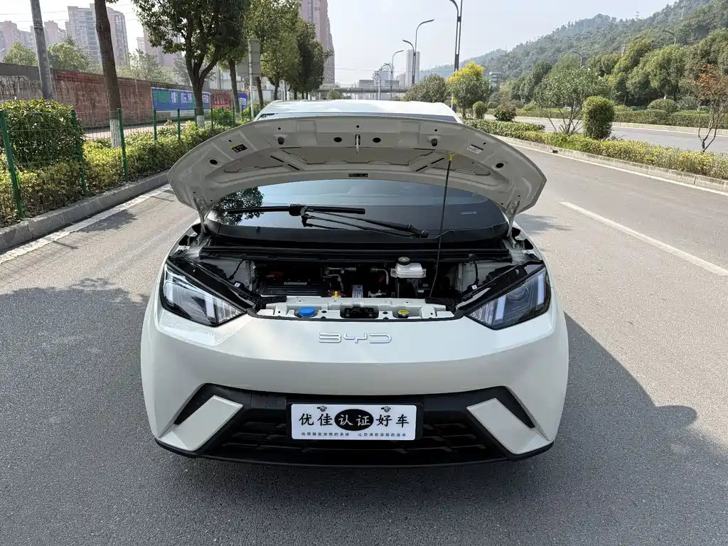 BYD Seagull — миниатюра 8