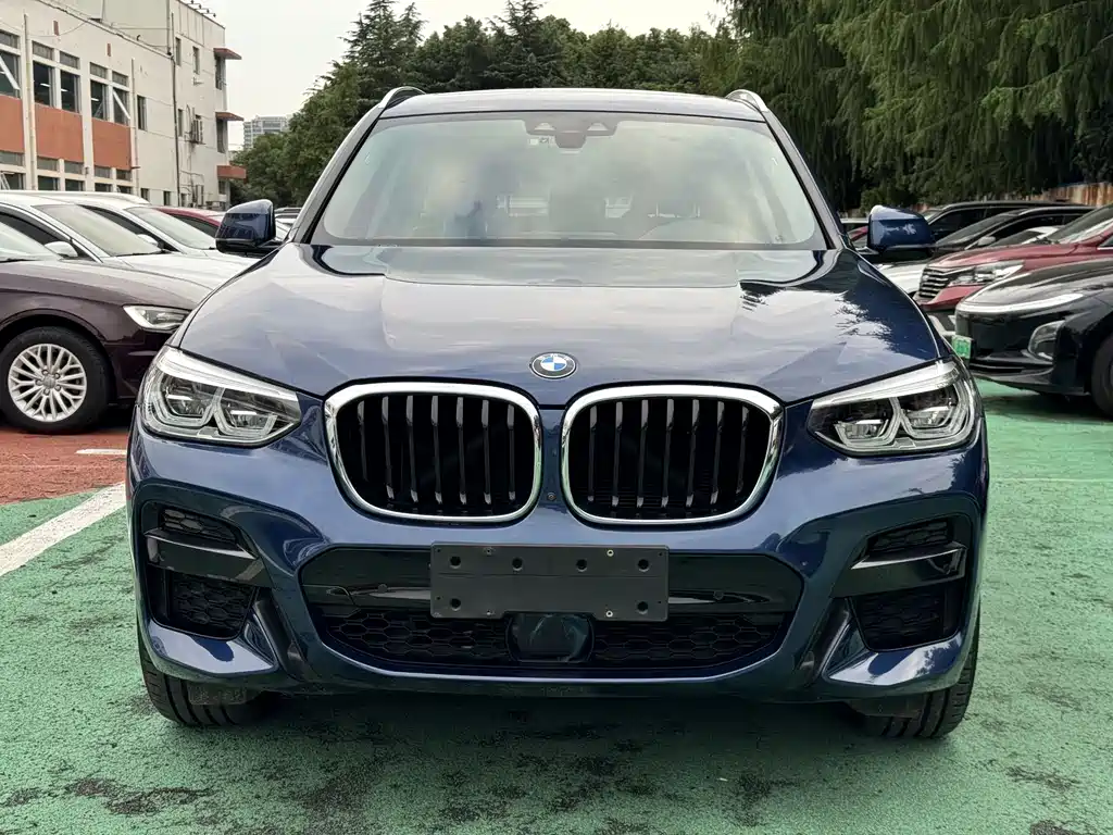 BMW X3 — миниатюра 3