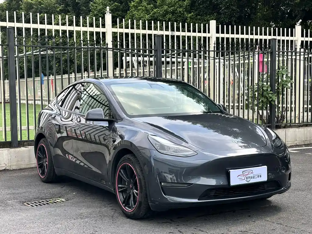 Tesla Model Y — миниатюра 3