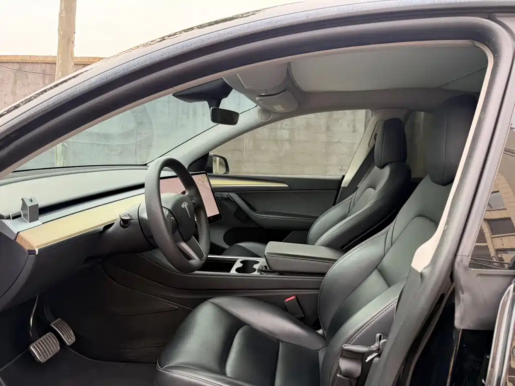 Tesla Model Y — миниатюра 4