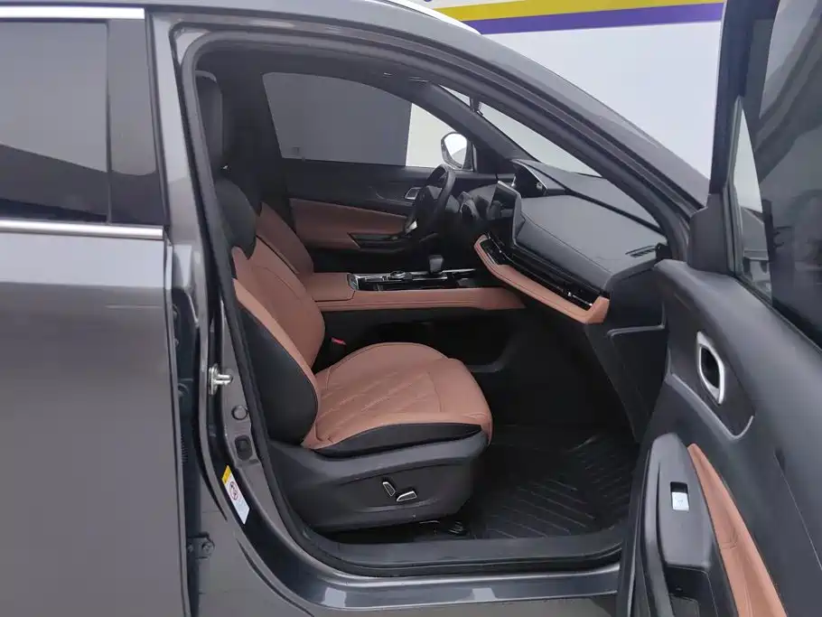 Qiyuan Чанг Ан Кай Q05 классика. — миниатюра 8
