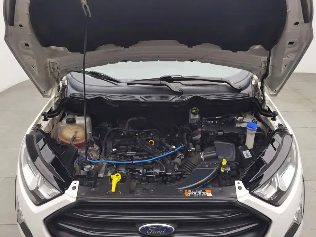 Ford Ecosport — миниатюра 6