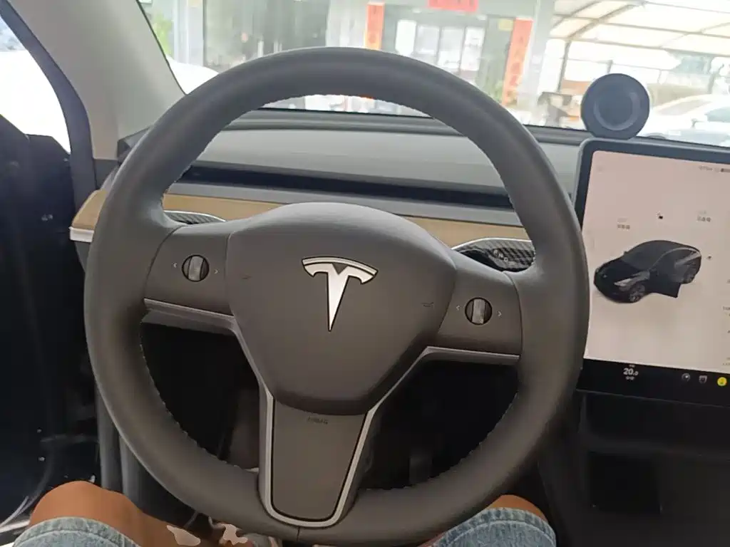 Tesla Model Y — миниатюра 11