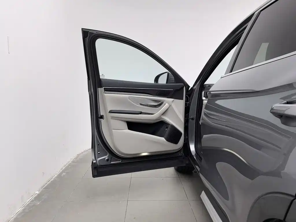 BYD PLUS New Energy — миниатюра 8