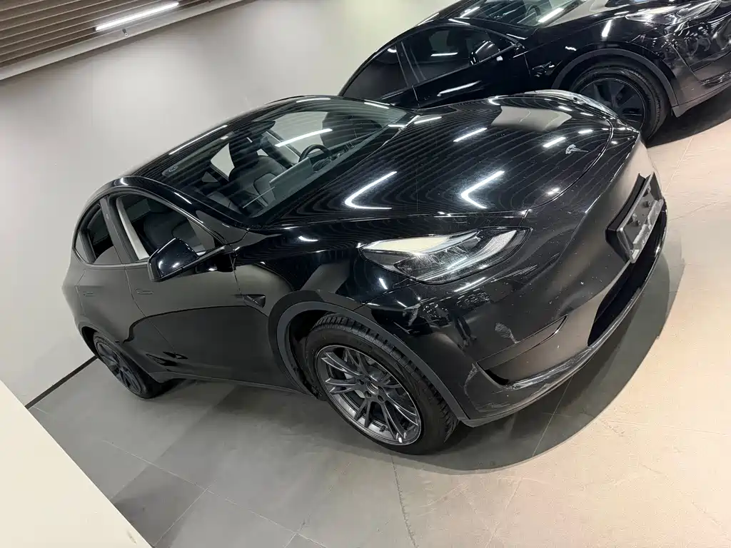 Tesla Model Y — миниатюра 3